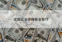 全国社会保障基金暂行